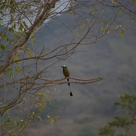 Tierra Alta Ecolodge 马塔加尔帕 外观 照片